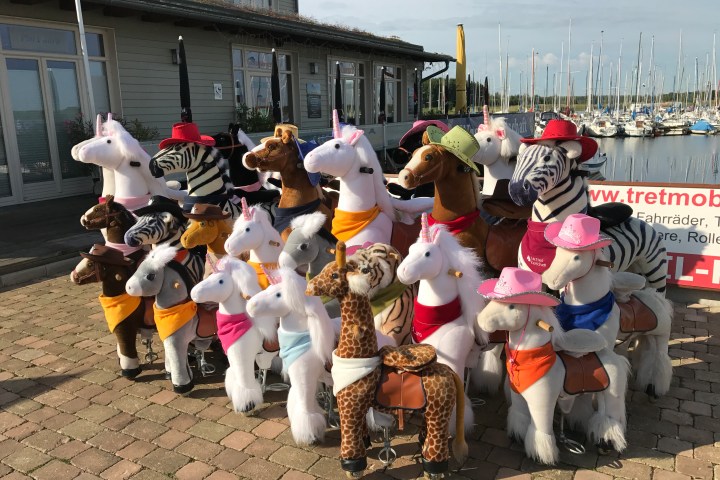 Group of rideable toy animals, including zebras, horses, and giraffes, wearing colorful hats and bibs.